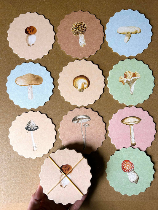 Posavasos – Setas 🍄