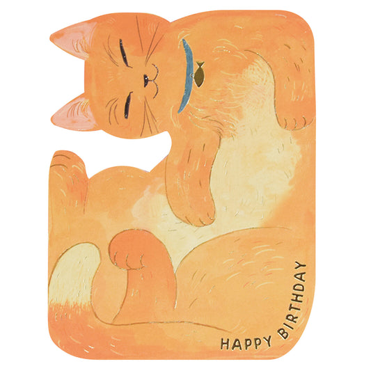 Orange cat birthday