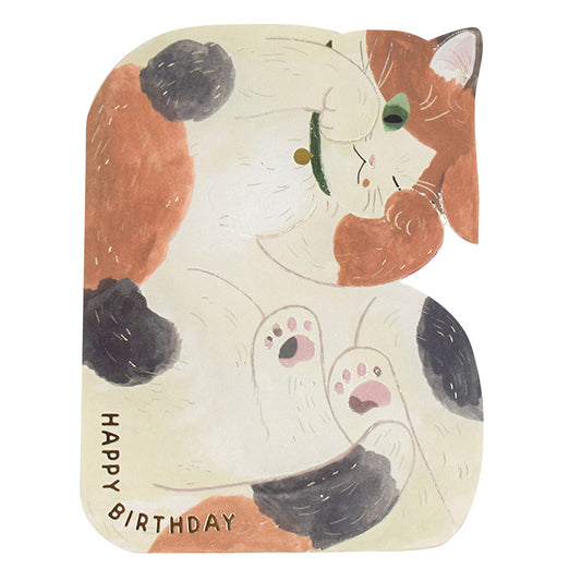 Brown cat birthday