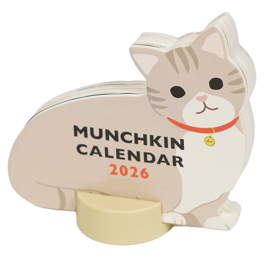 Gato Munchkin calendario