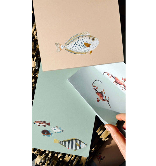 Blocs de notas – A5