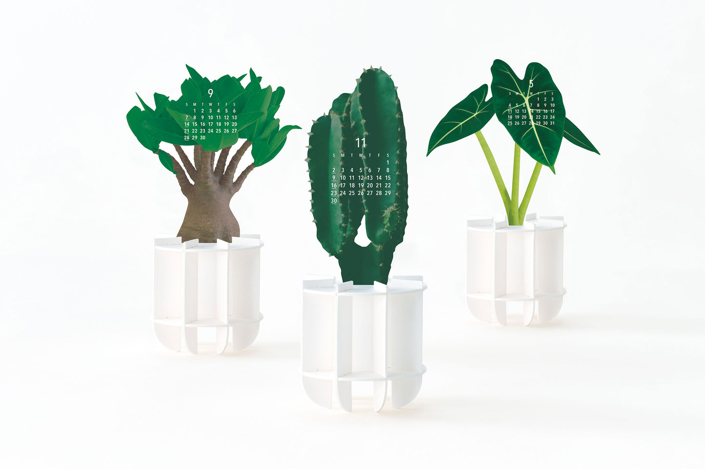 Plants