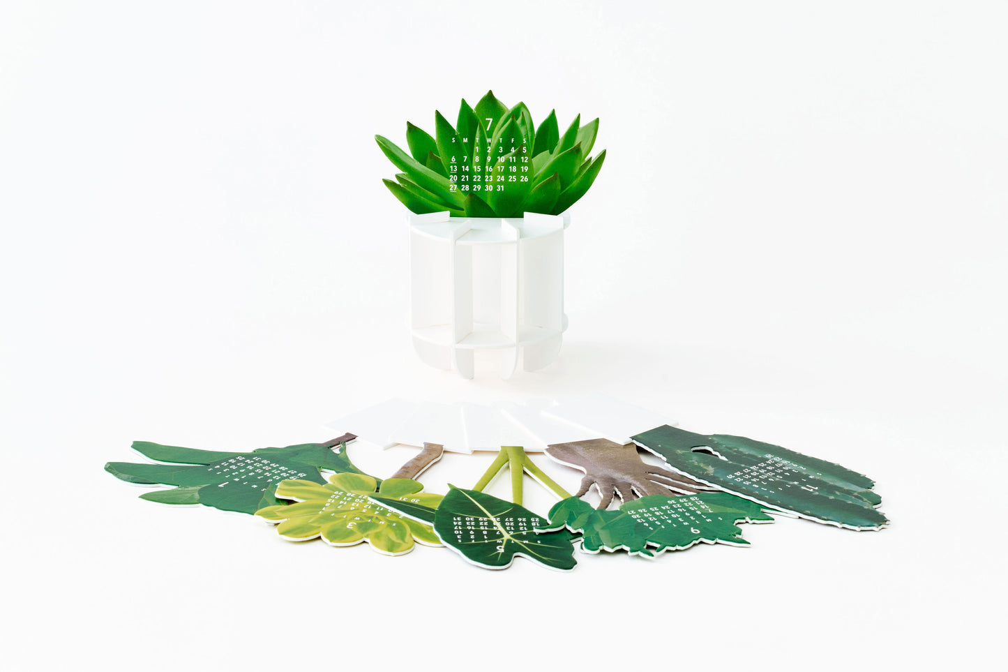 Plants