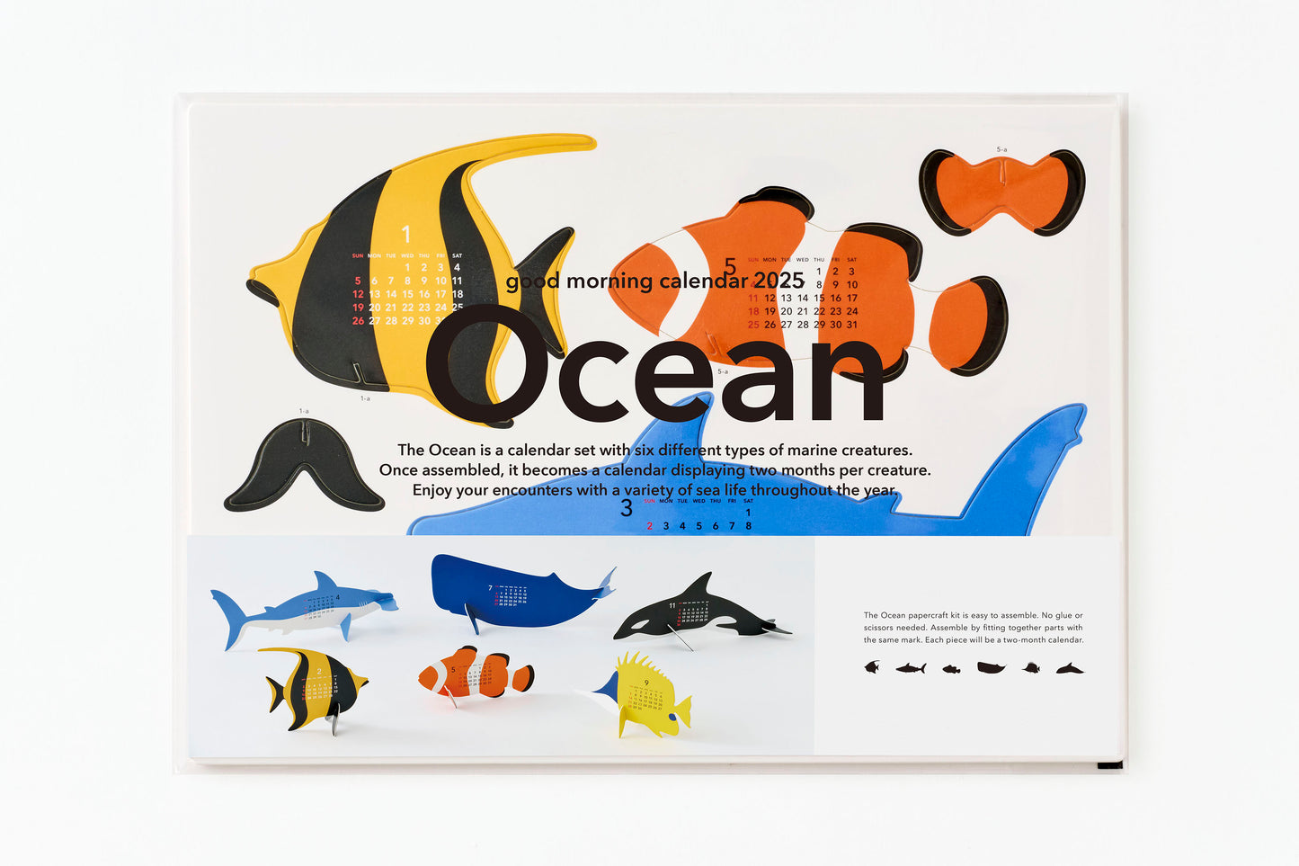 Ocean