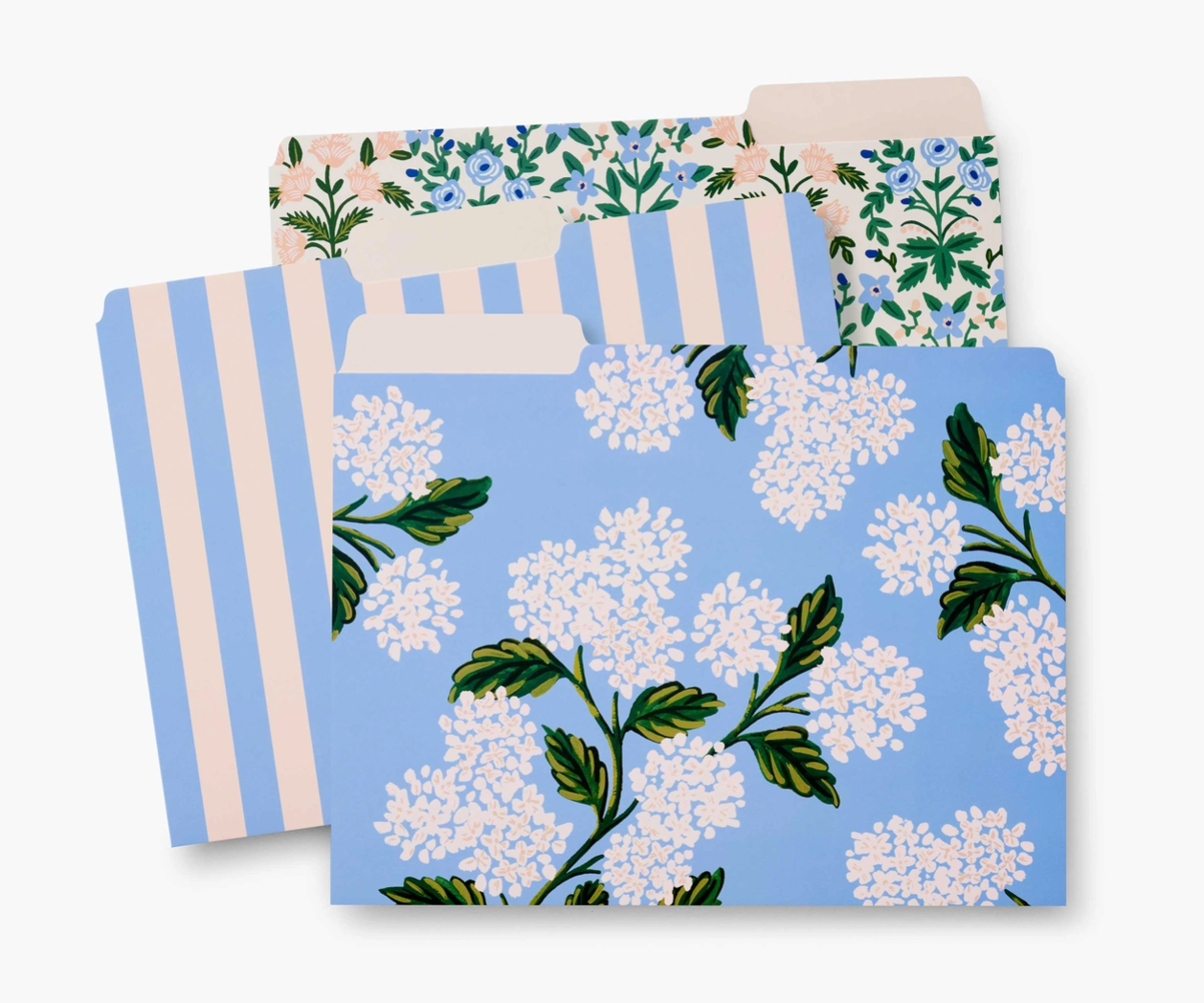 Carpetas Hydrangea (set 6)