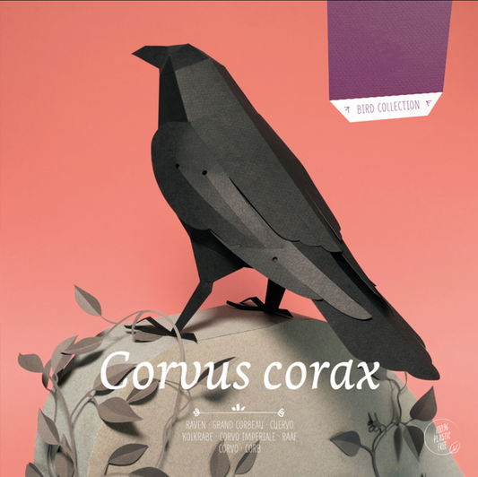 Pájaro Cuervo