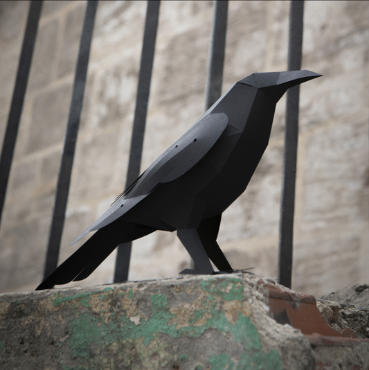 Pájaro Cuervo