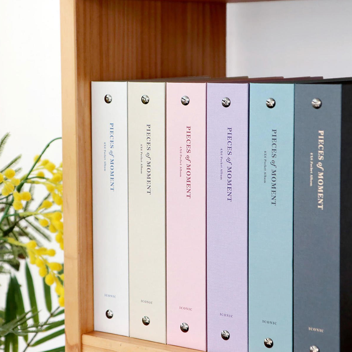 Álbum de fotos Deep Green