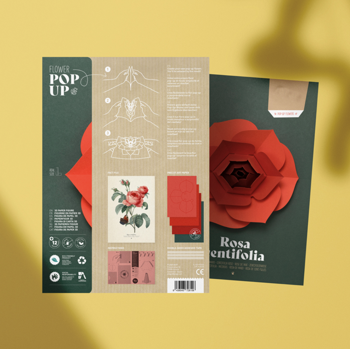 Rosa