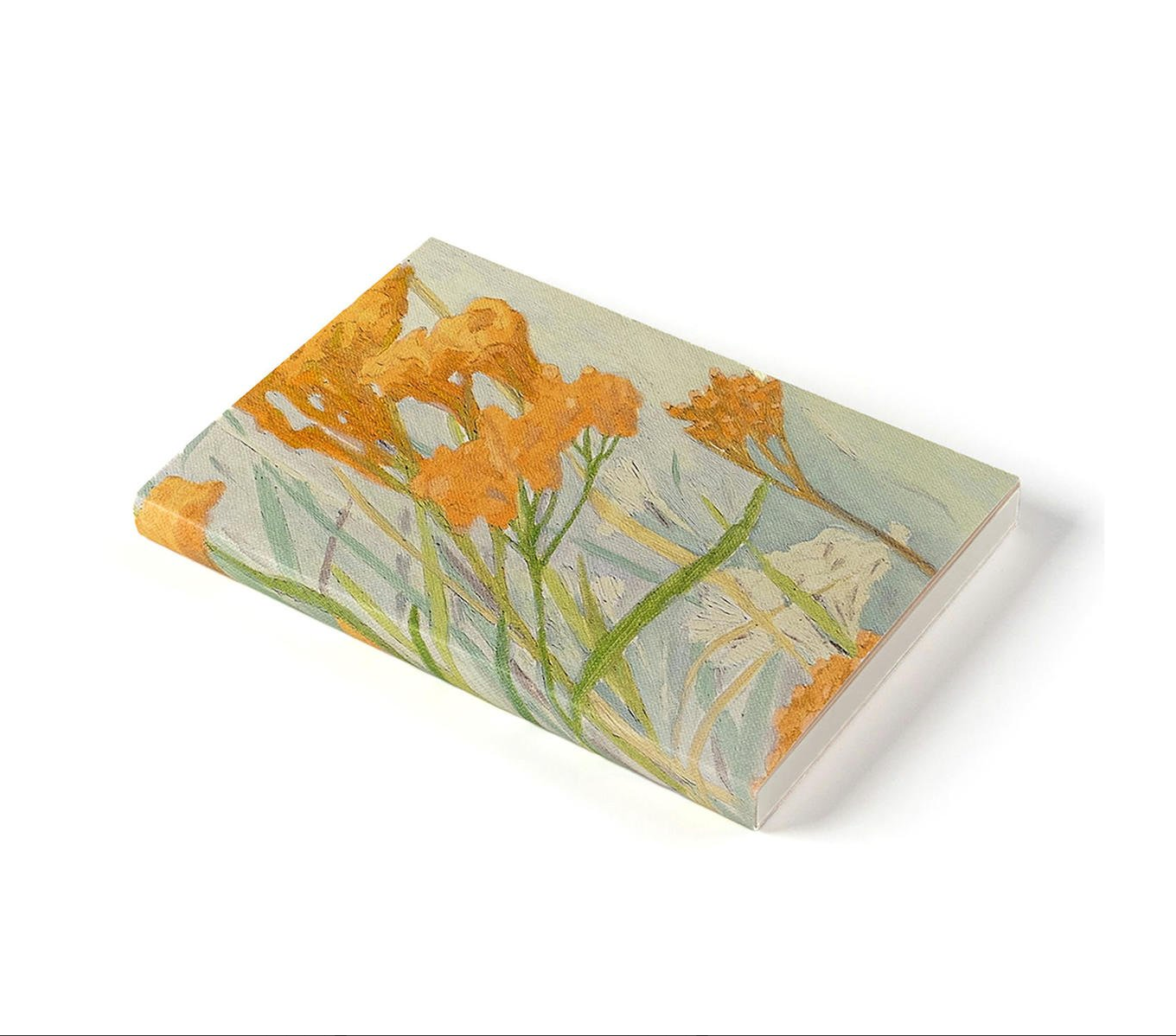 Fundas para libretas-libros