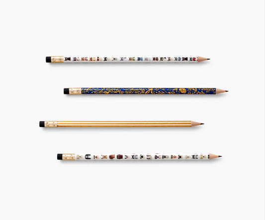 Set de 12 lápices – Cats & Dogs