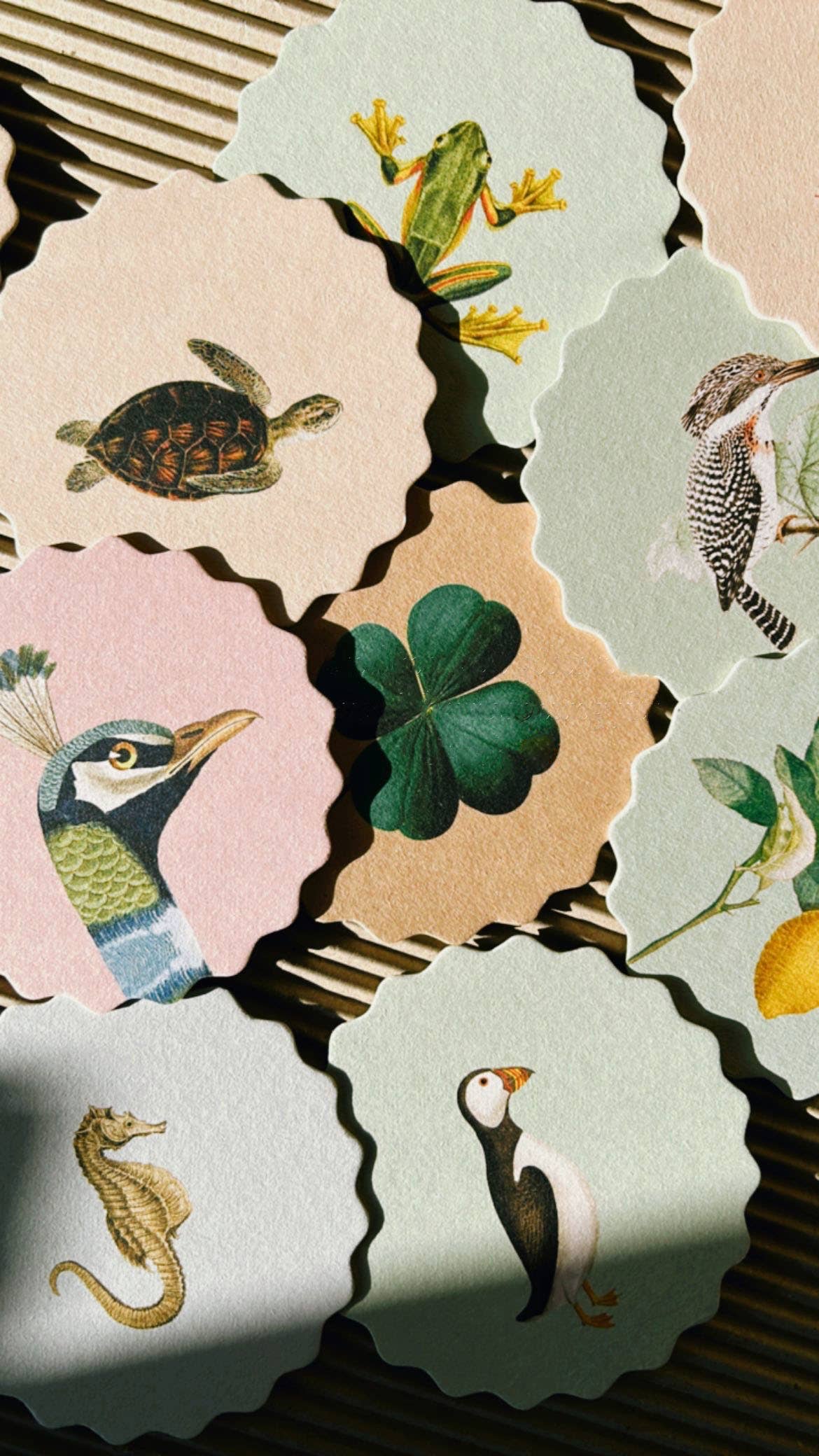 Posavasos – Animales
