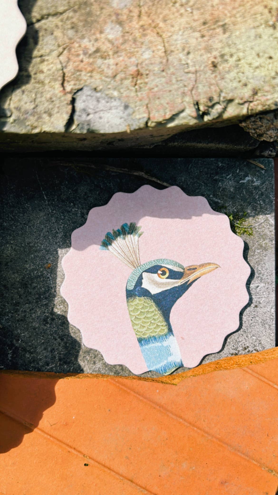 Posavasos – Animales