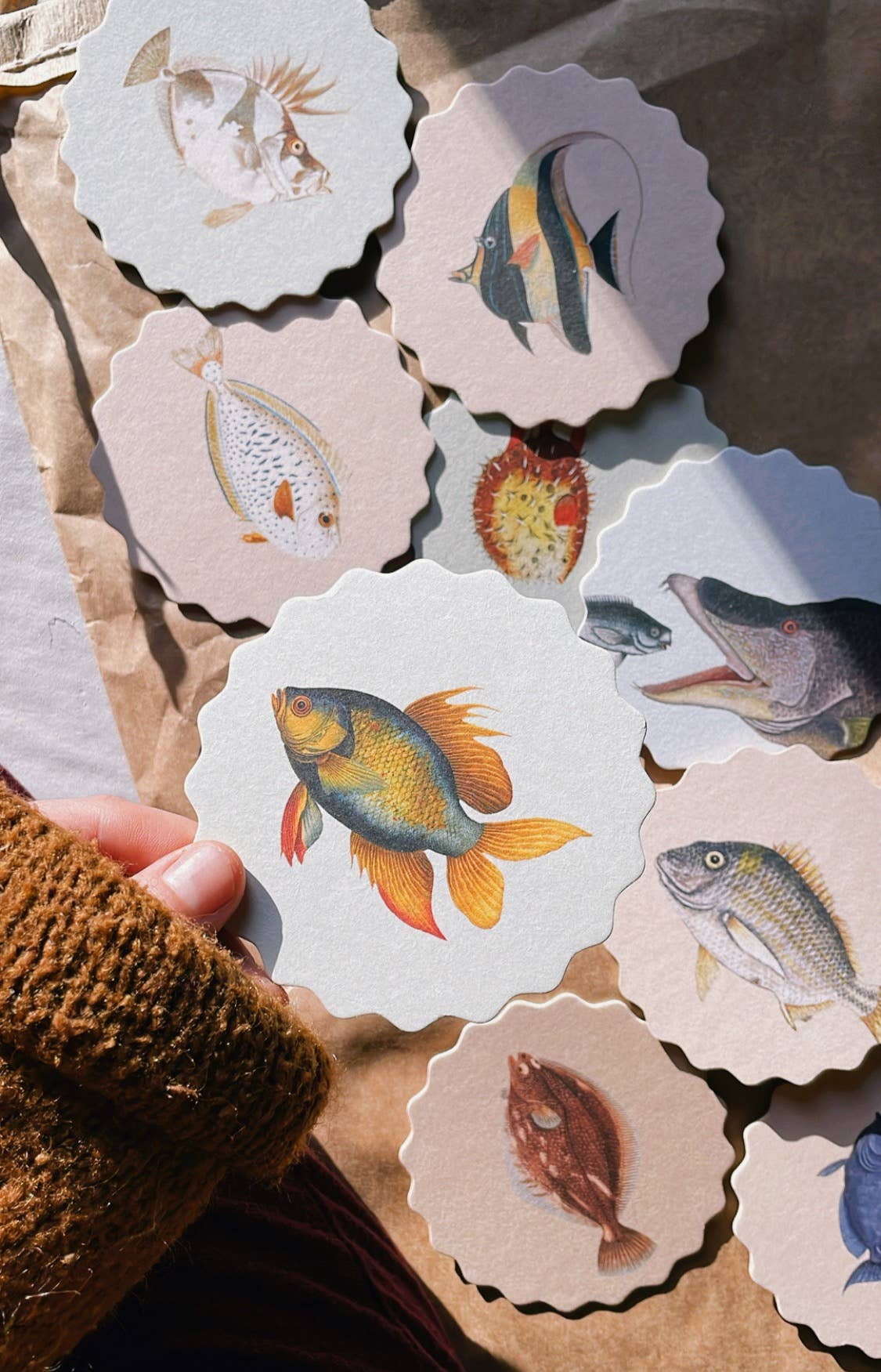 Posavasos – Peces