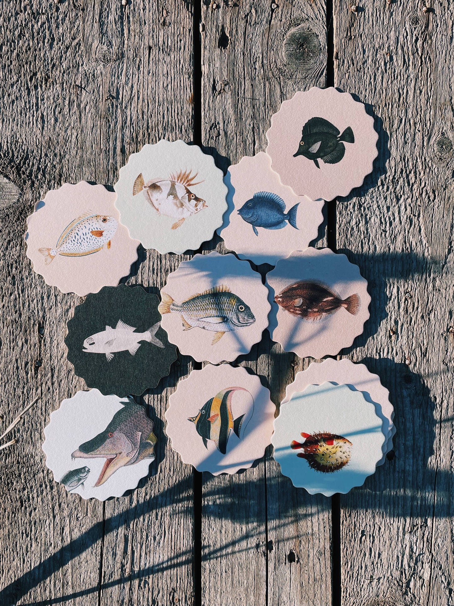 Posavasos – Peces