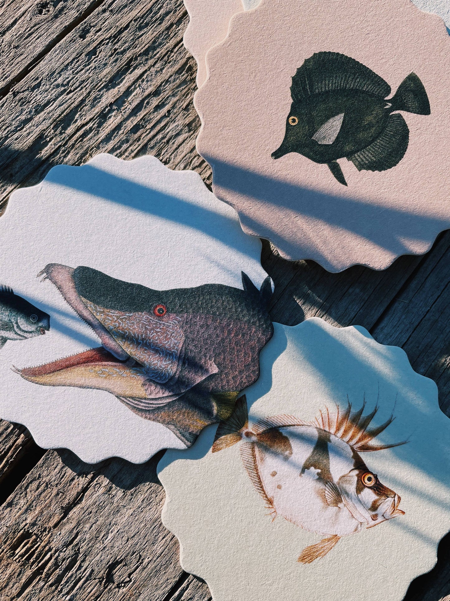 Posavasos – Peces