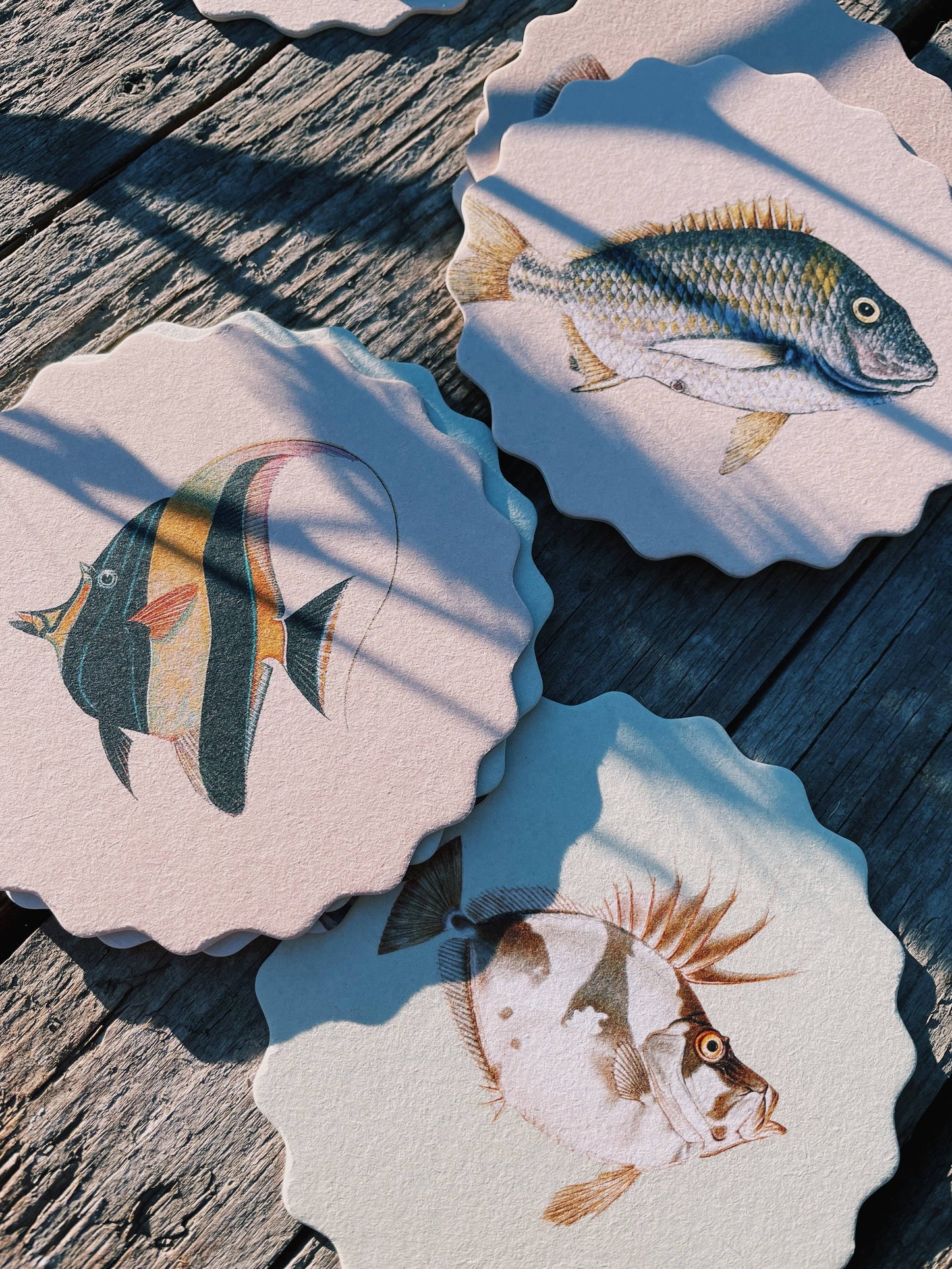 Posavasos – Peces