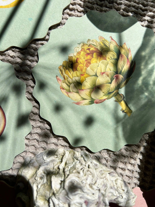 Posavasos – Verduras