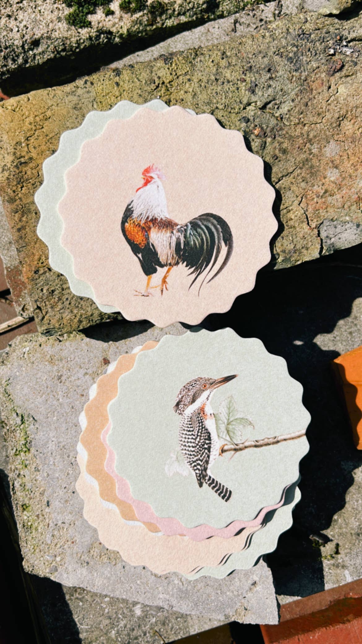 Posavasos – Animales