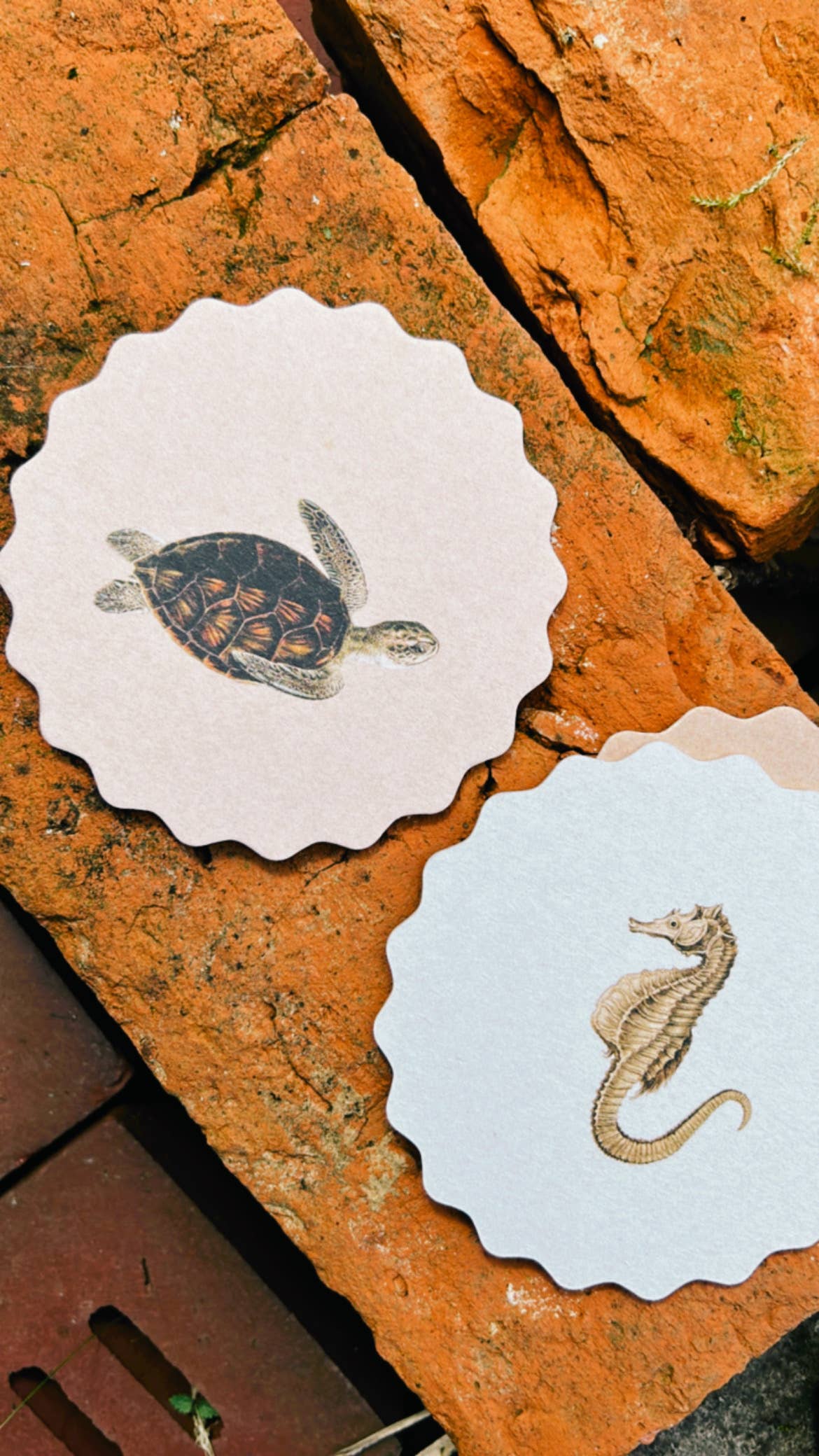 Posavasos – Animales