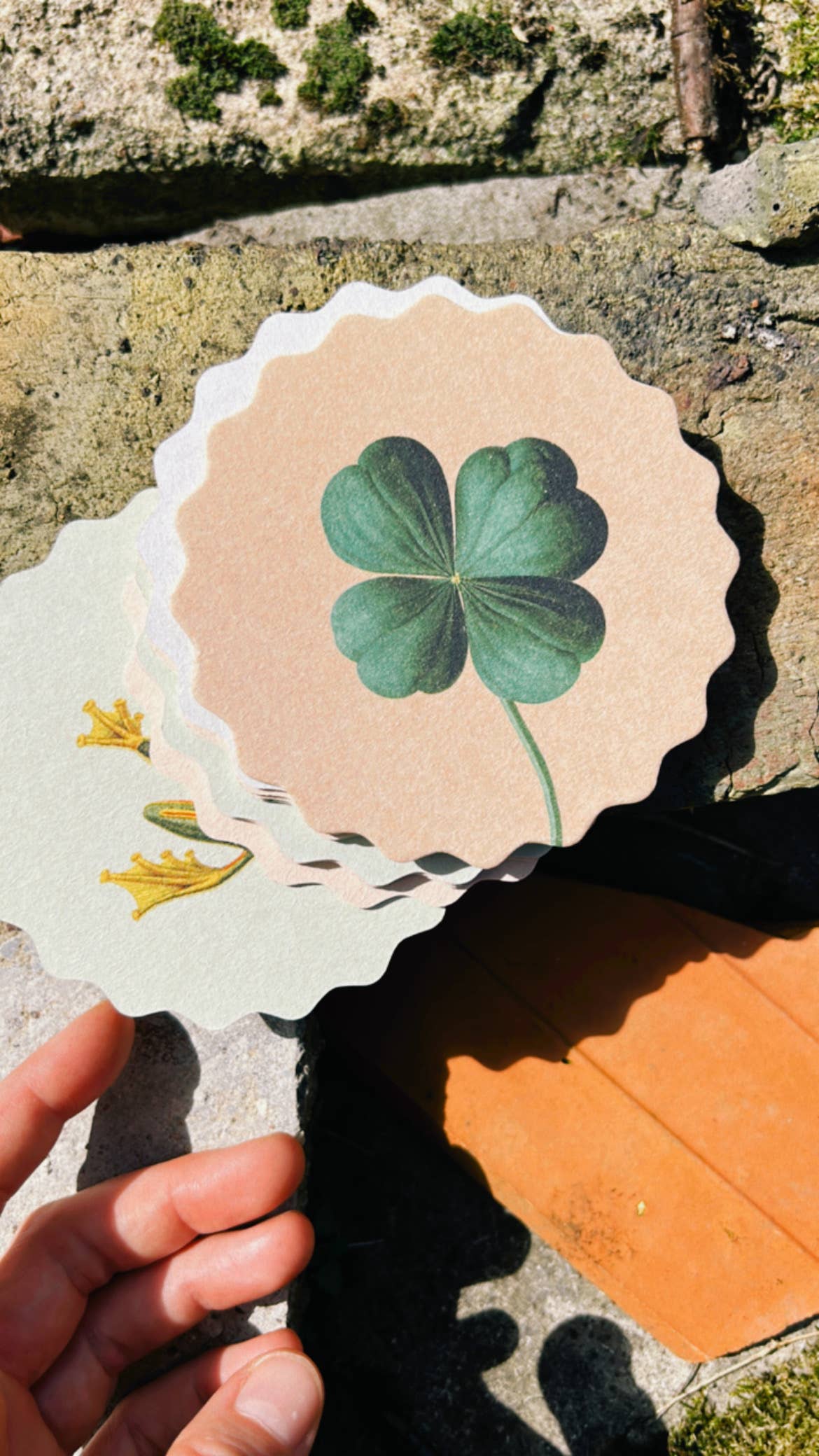 Posavasos – Animales