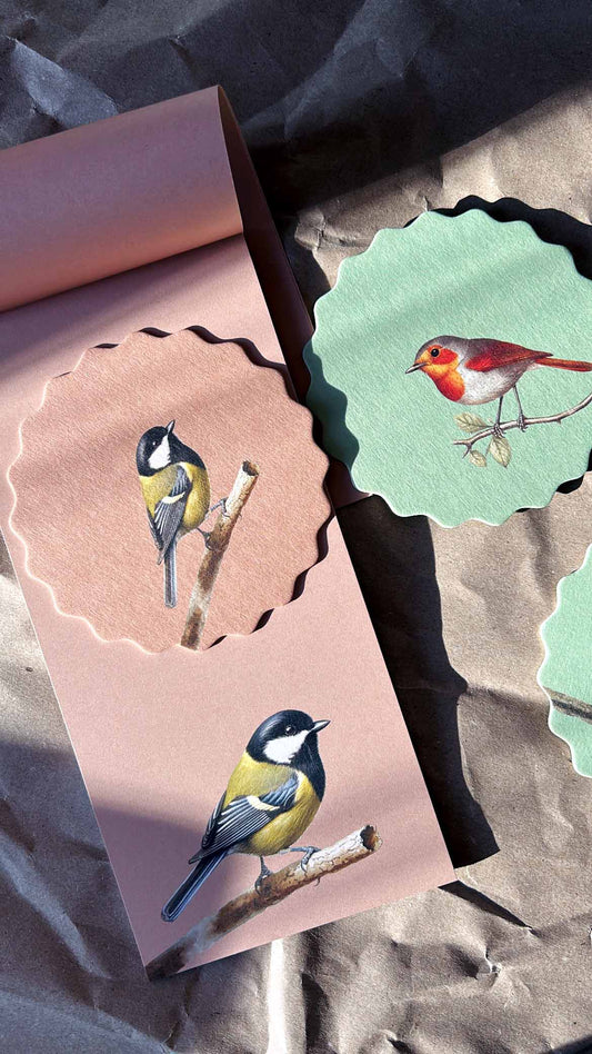 Posavasos – Pájaros 🦉🦜🐦