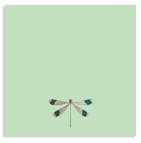 Blocs de notas – 10x10cm