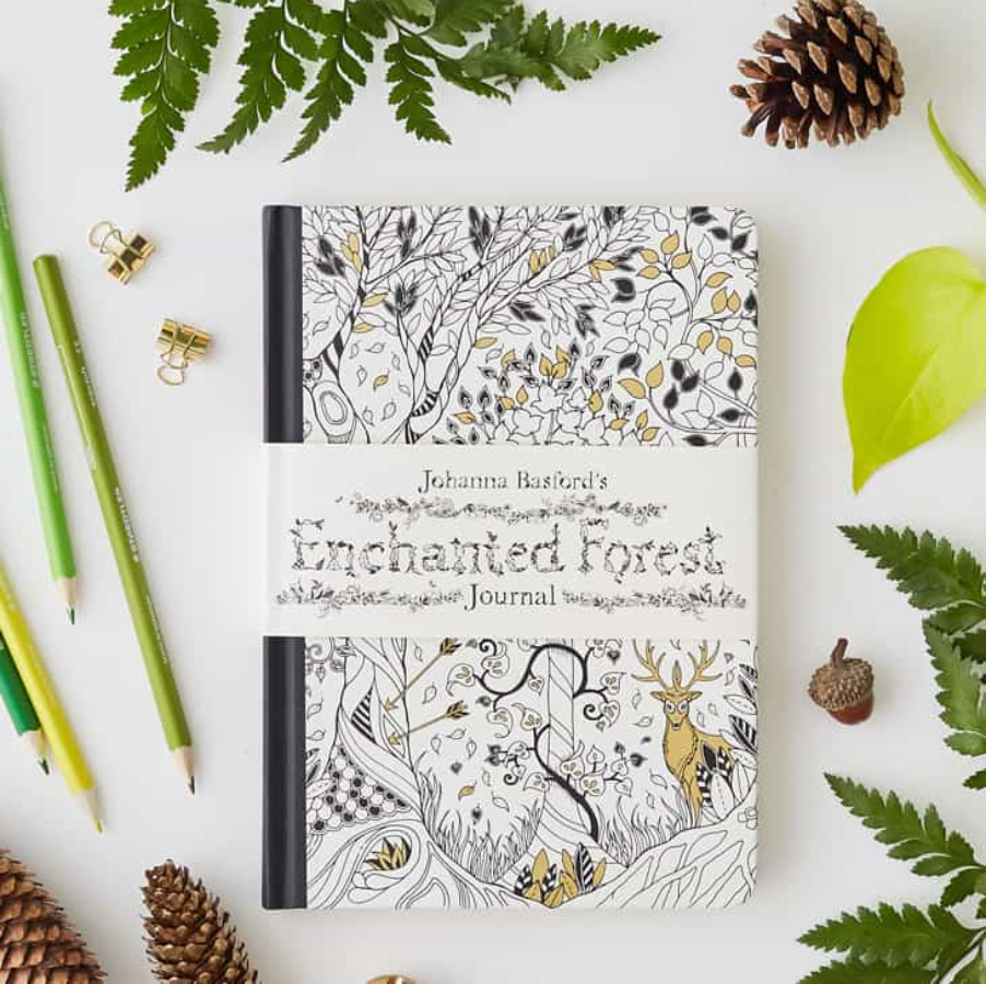 Bosque encantado cuaderno