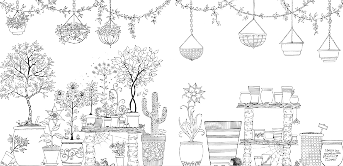 Jardín secreto: libro para colorear