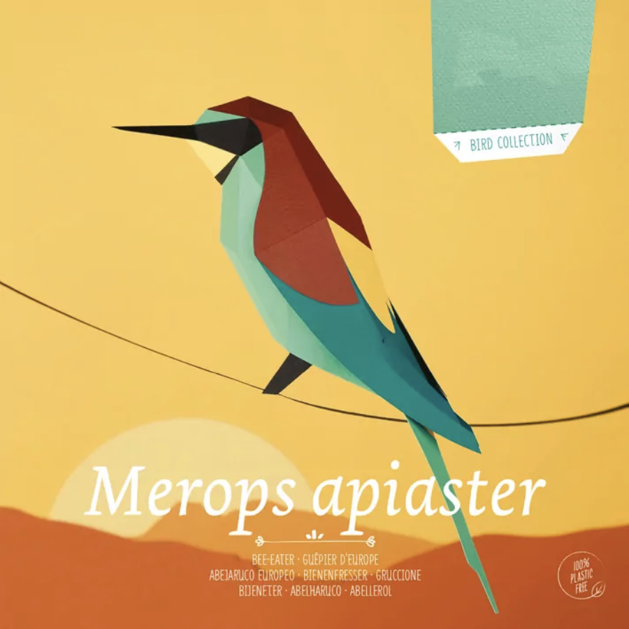 Pájaro Abejaruco europeo