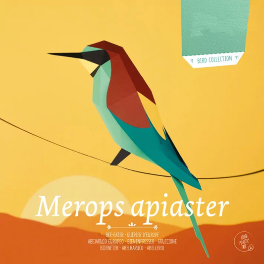 Pájaro Abejaruco europeo