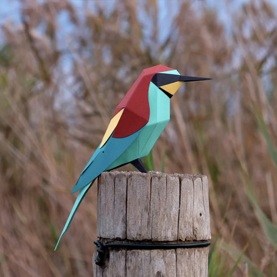 Pájaro Abejaruco europeo