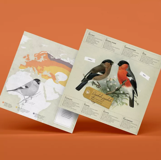 Pájaro Camachuelo común