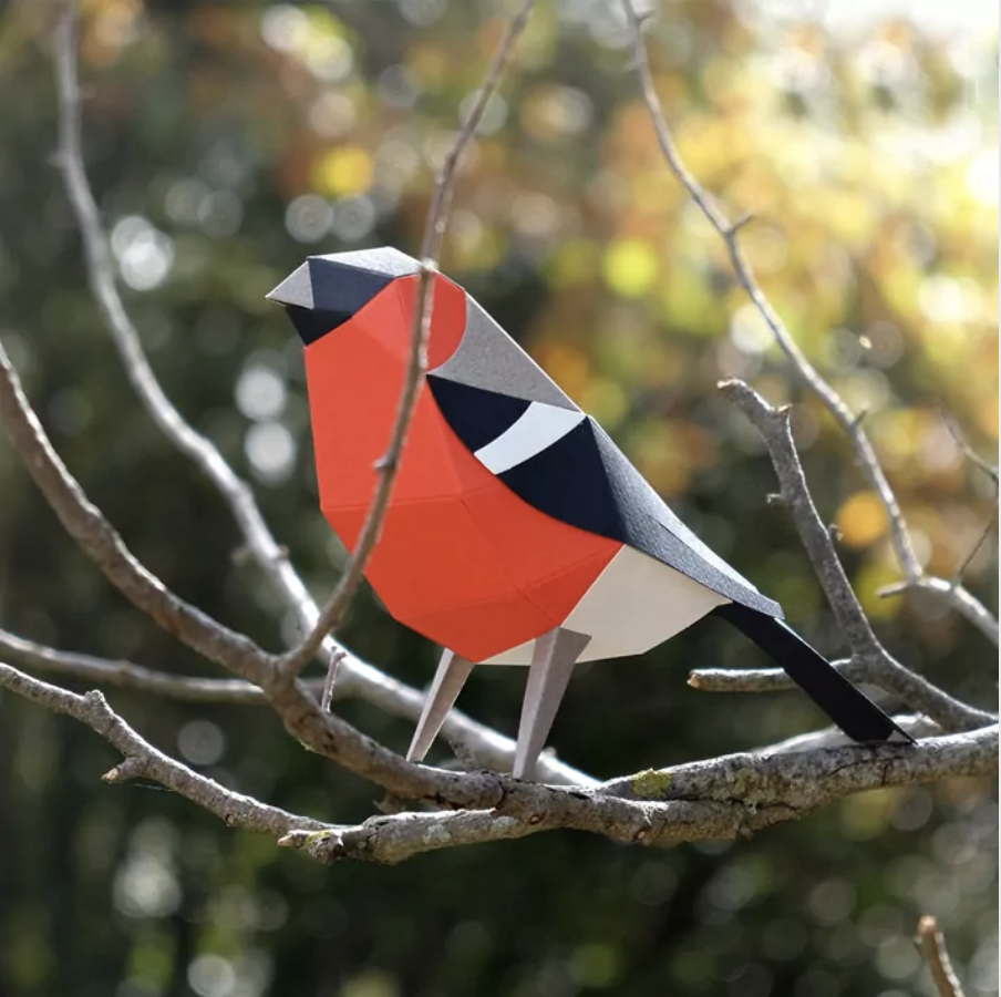 Pájaro Camachuelo común