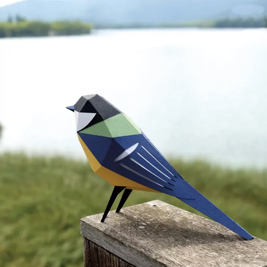 Pájaro Carbonero común