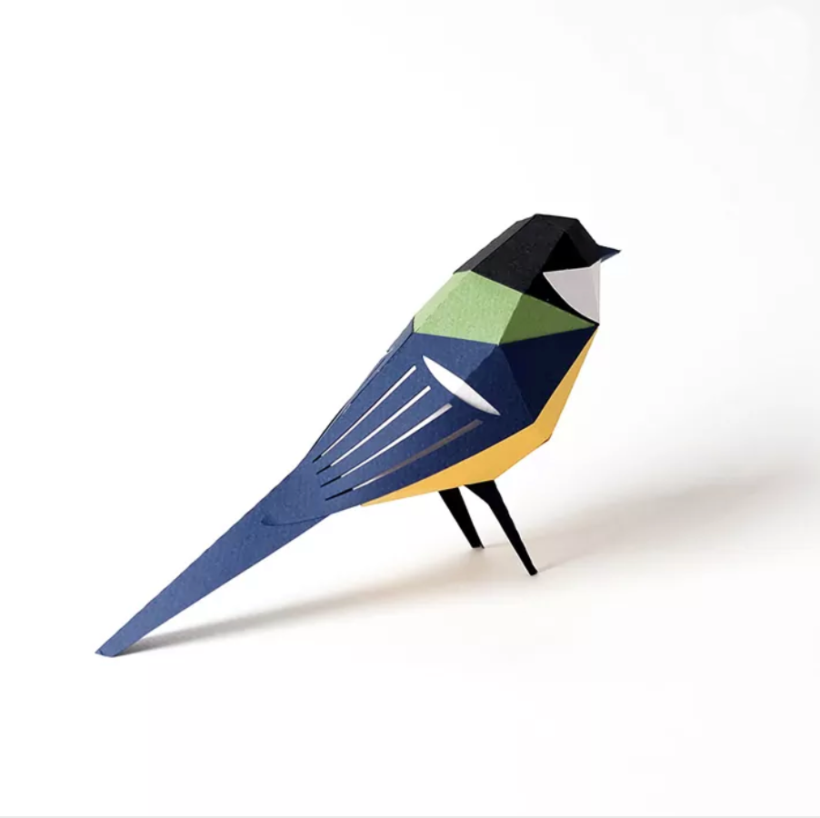 Pájaro Carbonero común