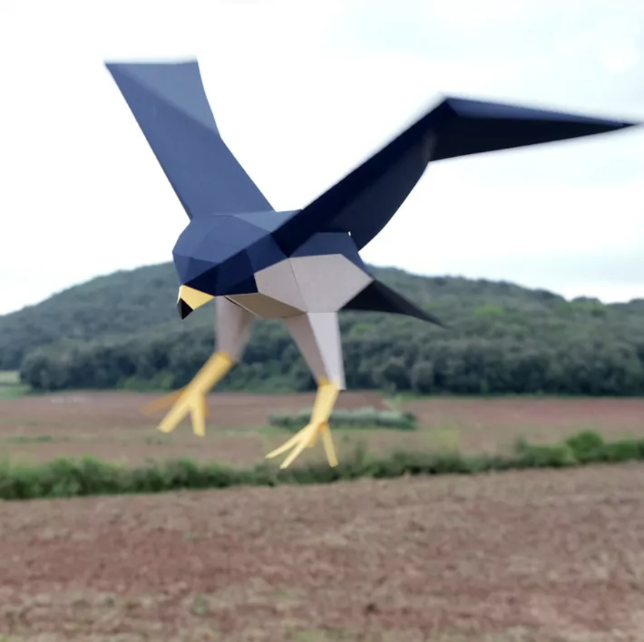 Pájaro Halcón peregrino