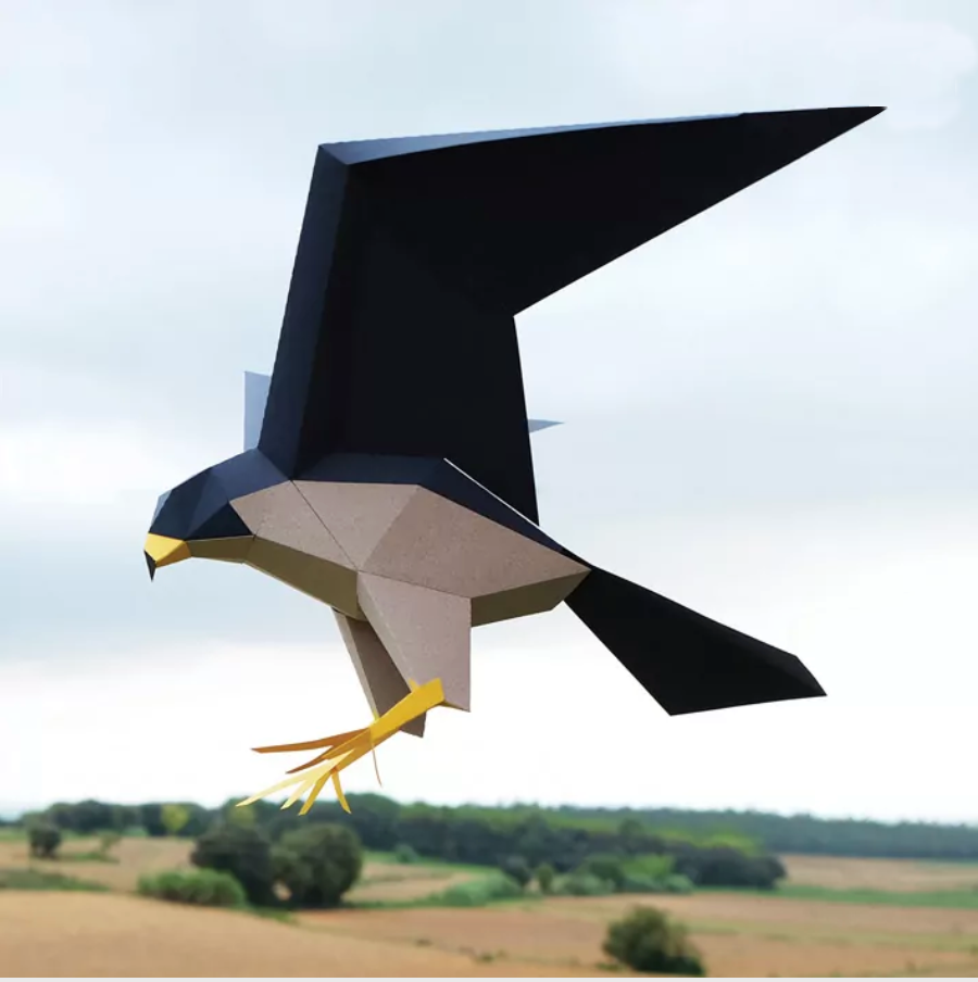 Pájaro Halcón peregrino