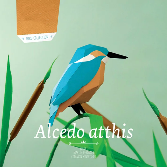 Pájaro Martín pescador