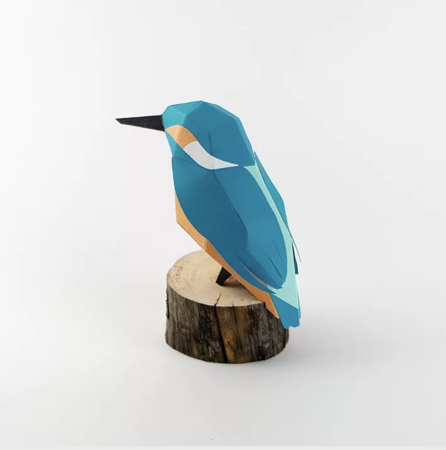 Pájaro Martín pescador