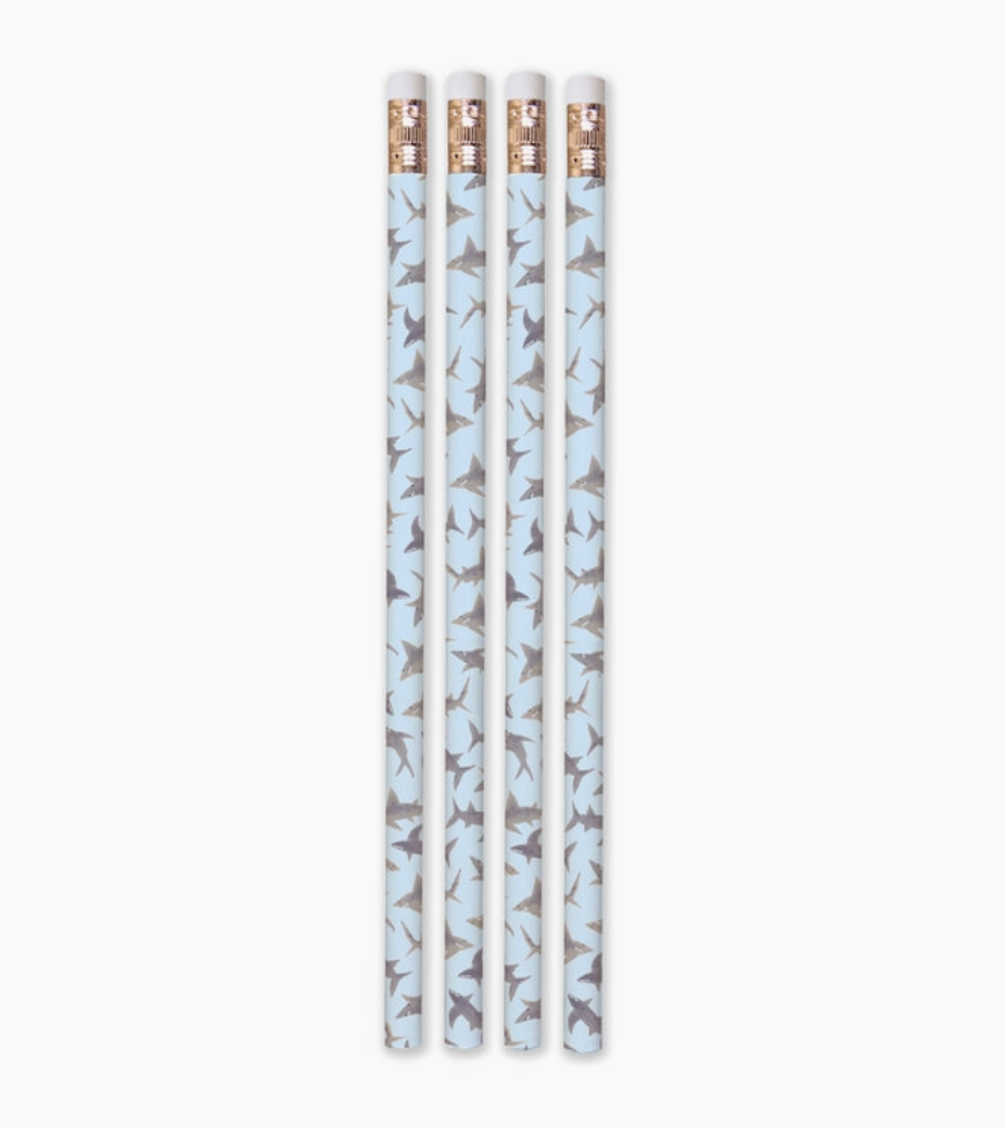 Set de 4 lápices Tiburones