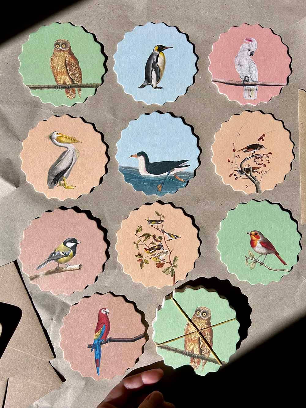 Posavasos – Pájaros 🦉🦜🐦