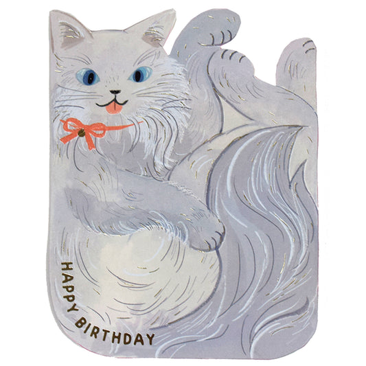 Grey cat birthday
