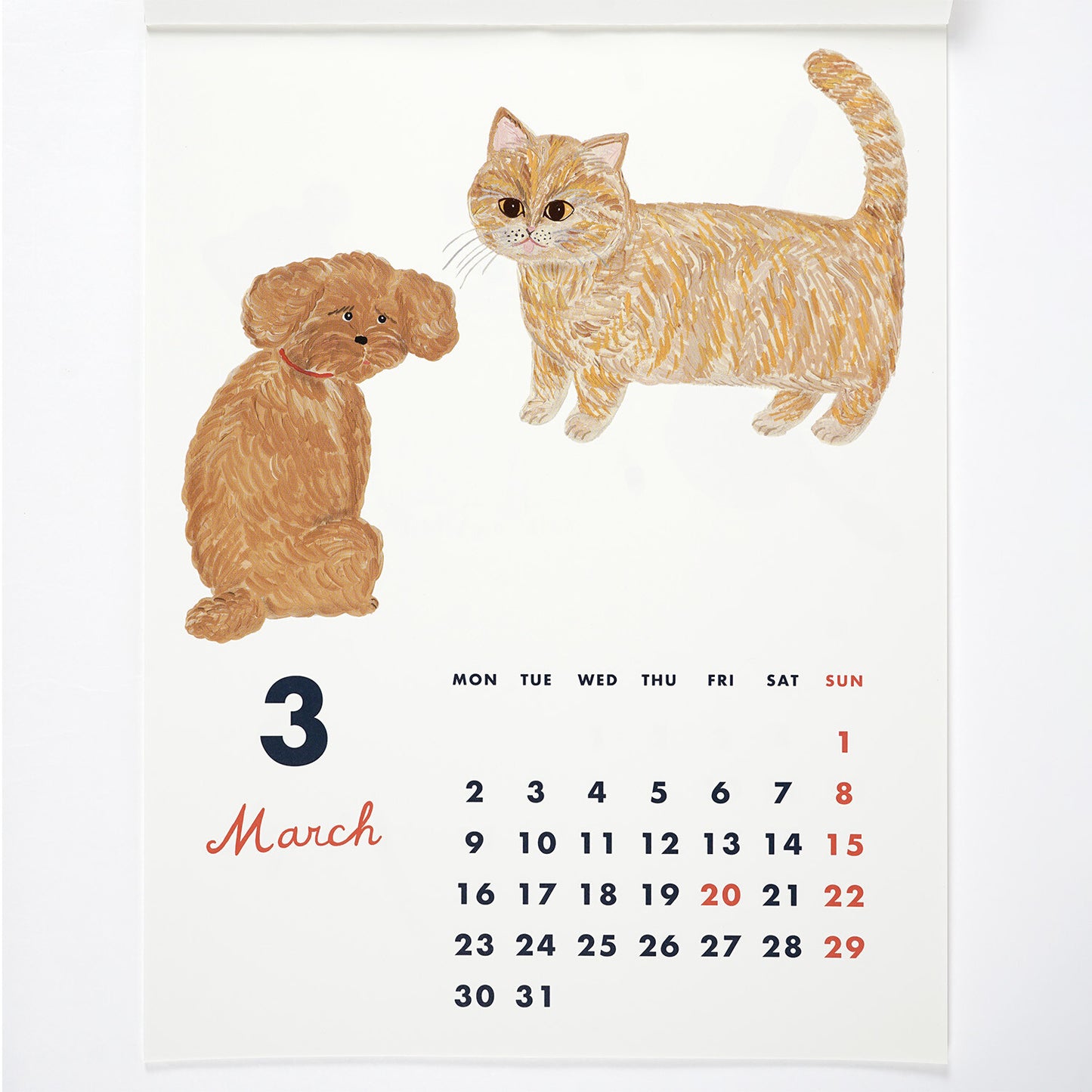 Calendario Cat &