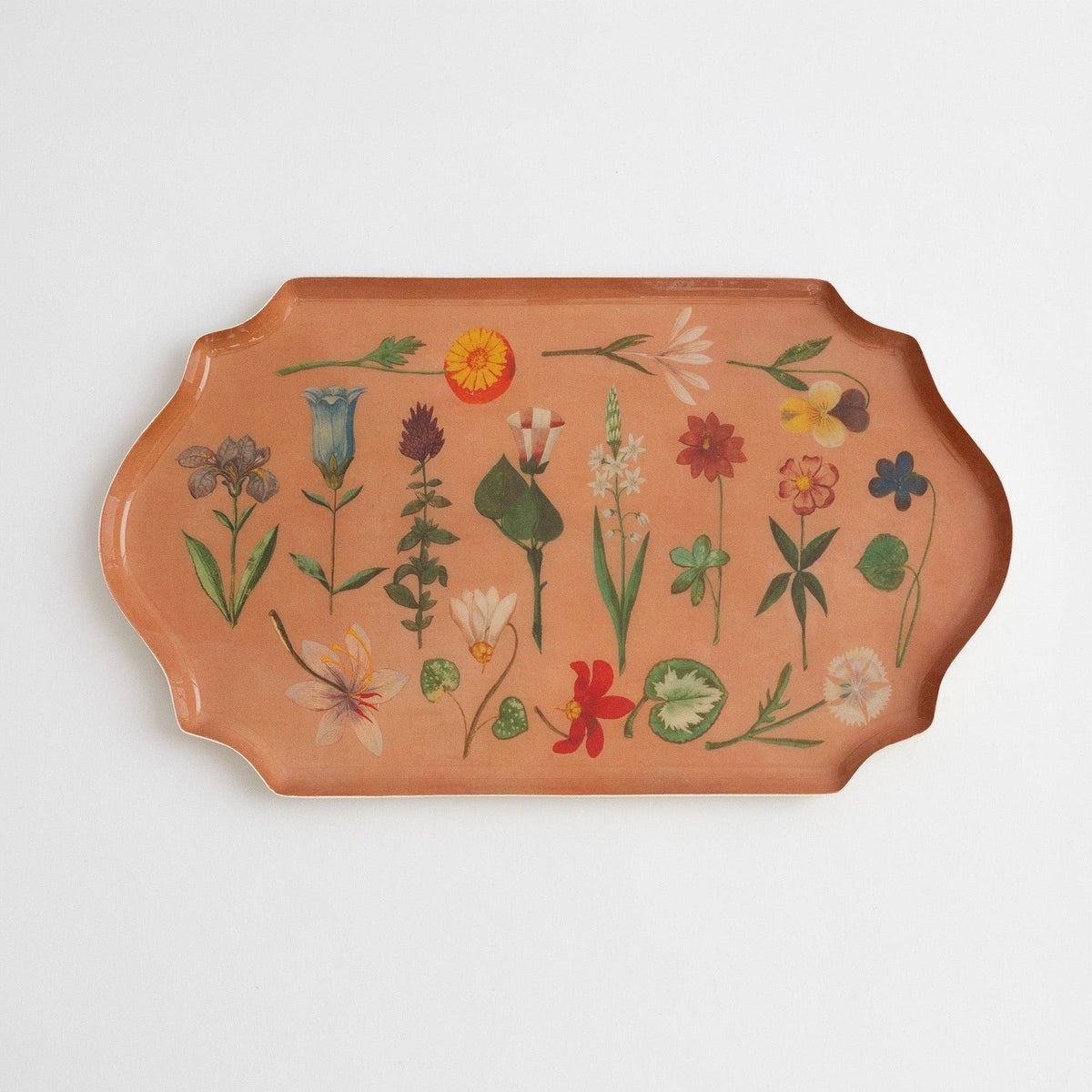Festival de las Flores – Bandeja