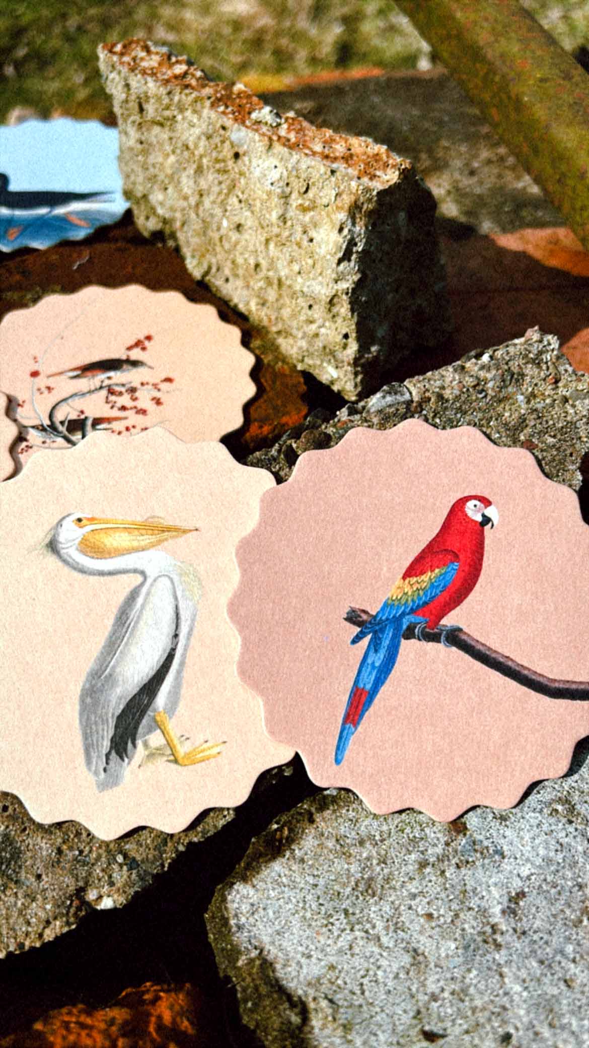 Posavasos – Pájaros 🦉🦜🐦