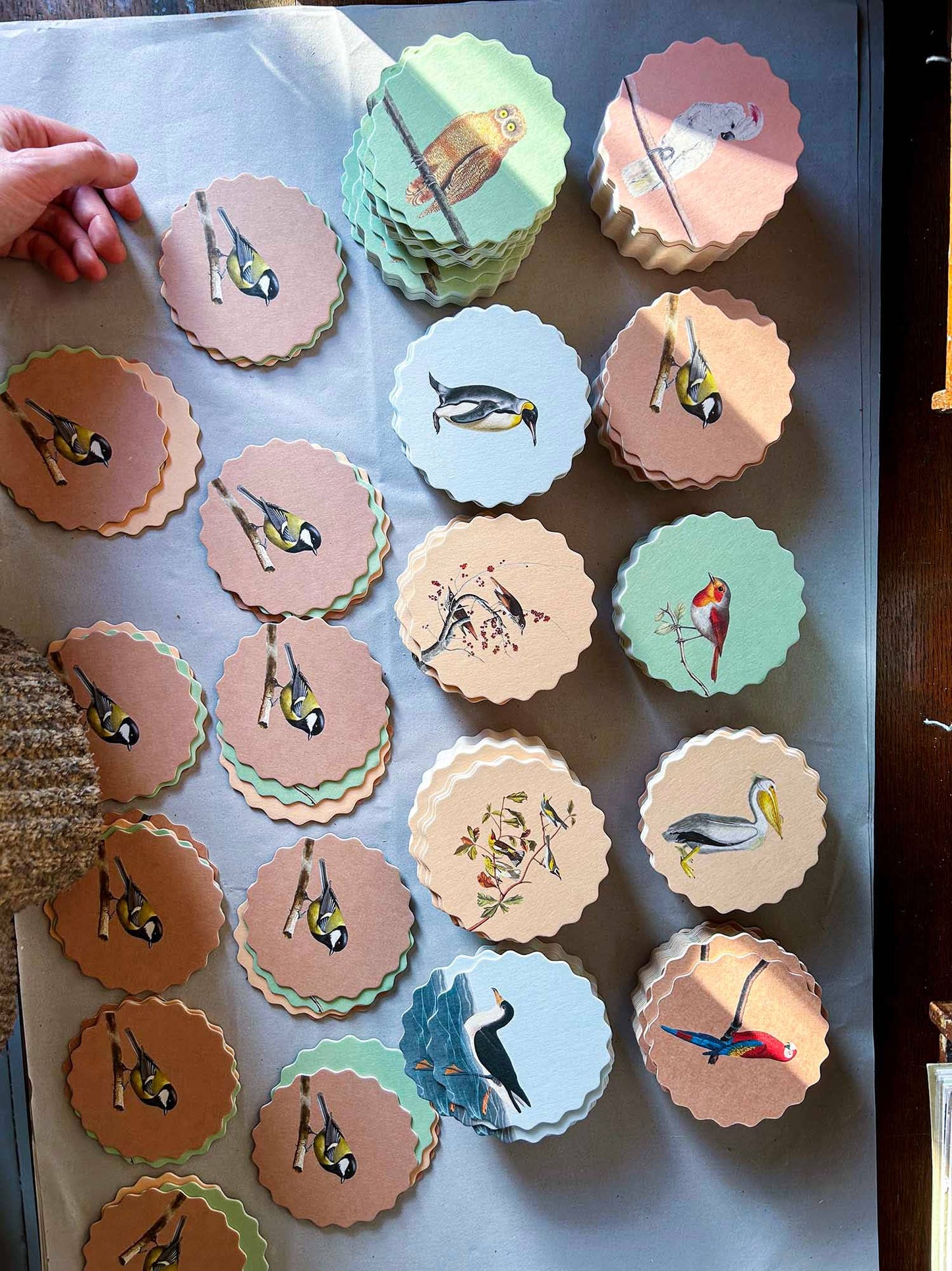 Posavasos – Pájaros 🦉🦜🐦