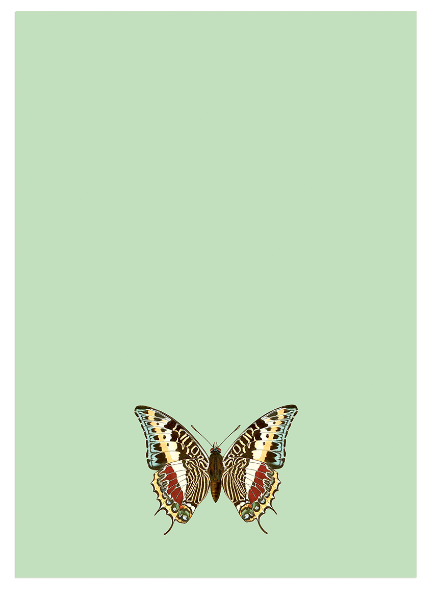 Blocs de notas – A5