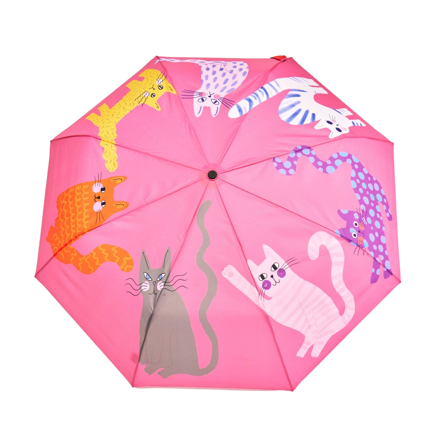 Paraguas con Gatos (varios colores)