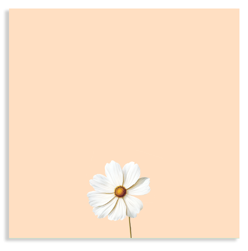 Blocs de notas – 10x10cm